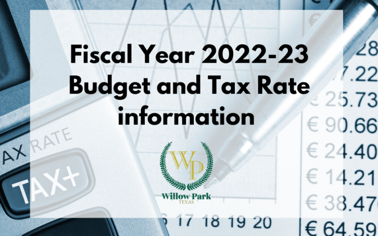 Budget and tax rate information