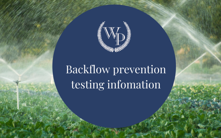 backflow graphic